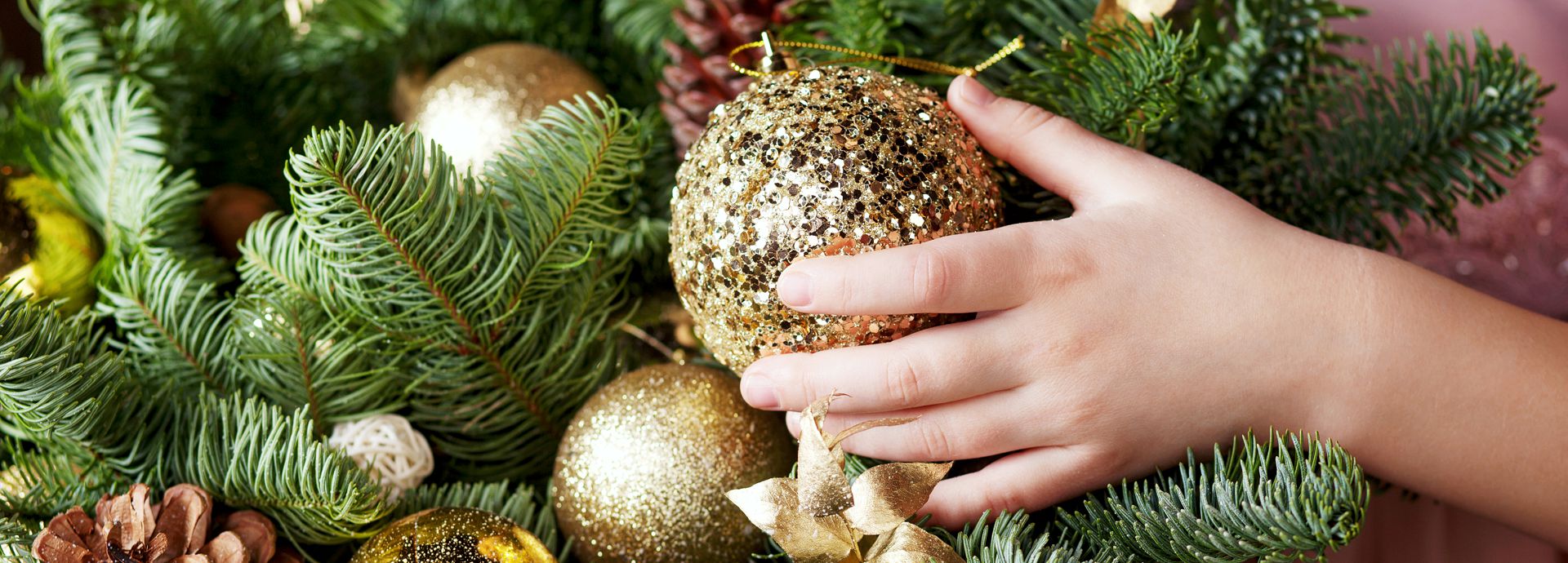 Okotoks Christmas Tree Delivery